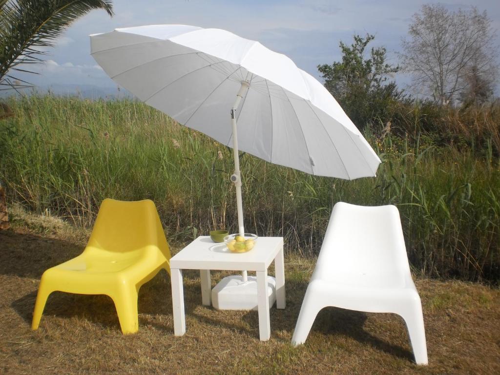 Virginia'S Beachfront Apartments カボス 部屋 写真